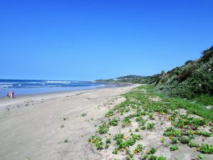 IMG-20230612-WA0012
